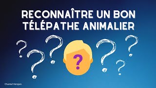 Comment reconnaître un bon télépathe animalier [upl. by Eleumas]