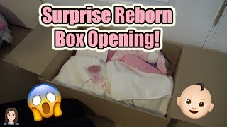 SURPRISE Reborn Baby Box Opening  Kelli Maple [upl. by Deny]