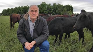 Managing a Small Cattle Herd [upl. by Strong]