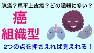 【５分で解説、３分で国試解説】癌の組織型 [upl. by Kolivas]