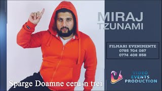 Miraj Tzunami ➖ Sparge Doamne cerun trei New Live 2020 [upl. by Eerdna]