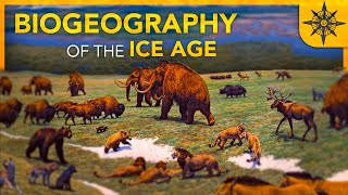 The BIOGEOGRAPHY of the Ice Age [upl. by Notsej]