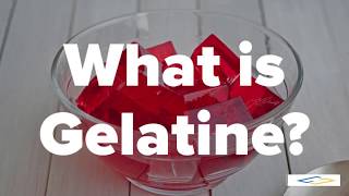 What is GelatineGelatin  Halal Gelatin [upl. by Aitnis]