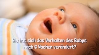 Das Verhalten des Babys in den ersten 6 Wochen [upl. by Richmond783]