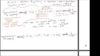 Respiratory versus Metabolic Acidosis and Alkalosis [upl. by Yhtamit]