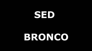 Sed Letra Bronco [upl. by Kryska]