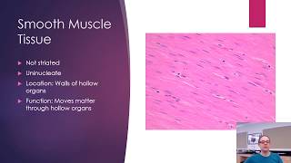 Histology  Bone and Muscle [upl. by Meghan149]