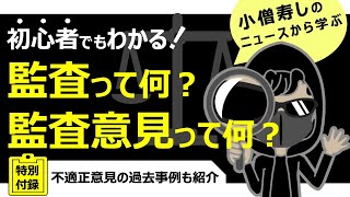 初心者でもわかりやすく解説！監査って何？監査意見って何？【小僧寿しチェーンに意見不表明！？】 [upl. by Andrew]