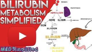 Bilirubin Metabolism Simplified [upl. by Parsons]