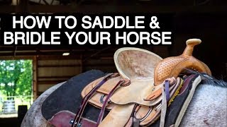 HOW TO TACK UP YOUR HORSE WESTERN [upl. by Alekal]