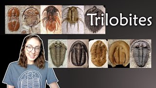 Arthropoda Pt 2 Trilobites Invertebrate Paleontology  GEO GIRL [upl. by Viviana574]