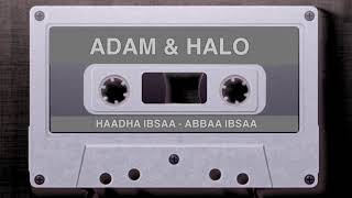 Adam Harun amp Halo Dawe Haadha Ibsaa  Oromo Music [upl. by Etnud821]