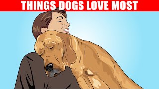 15 Things Dogs Love the Most [upl. by Schecter]