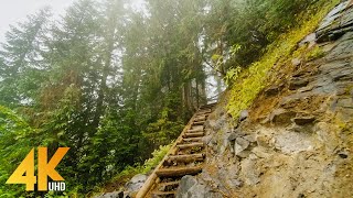 4K Virtual Walk through Beautiful Mountain Forest  Fascinating Comet Falls Mt Rainier Area [upl. by Adnale]