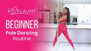 Pole Dancing Fitness Routines [upl. by Nelyak]