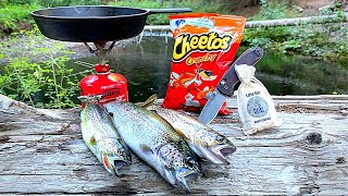 3 SPECIES Trout Catch amp Cook Mountain Fishing Underwater Bites [upl. by Ynnol]