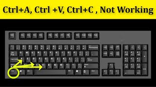 How To Fix CtrlA CtrlV CtrlC Not Working Problem  Keyboard Not Working Problem Windows 1087 [upl. by Graehl]