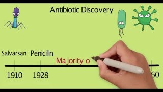 Role of Antibiotics [upl. by Nelleeus147]