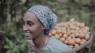 Support to Responsible Agricultural Investments Project in Ethiopia [upl. by Inail]