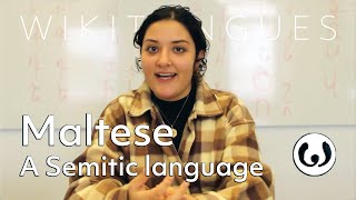 The Maltese language casually spoken  Elena speaking Maltese  Wikitongues [upl. by Yllen312]