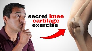 Secret Exercise For Knee Cartilage Repair [upl. by Tallula]