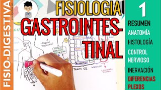 FISIOLOGIA GASTROINTESTINAL  RESUMEN Estructura Control Nervioso SN ENTERICO Sistema Digestivo1 [upl. by Avra45]