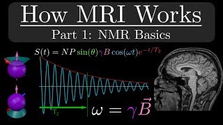 How MRI Works  Part 1  NMR Basics [upl. by Rogerson]