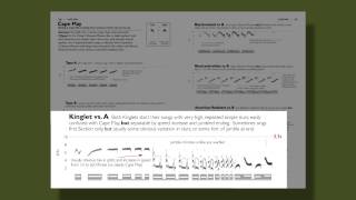 The Warbler Guide  Vocalizations [upl. by Edny168]