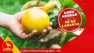 Como adubar PÉ DE LARANJA LIMÃO MEXERICA ADUBAÇÃO EM CÍTRICOS Curso UFV CITRICULTURA DE MESA [upl. by Kiele]