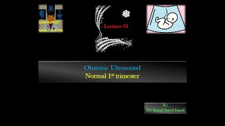 Obstetric Ultrasound Lecture 01 Normal 1st Trimester [upl. by Simon]