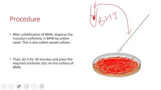 Antibiotic Susceptibility Test Disc Diffusion Method [upl. by Sherburne407]