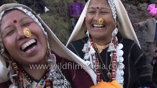 Kangdali Festival in Uttarakhand When people celebrate kandali shrub blooms once every 12 years [upl. by Conway]