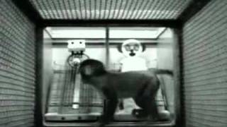 Harry harlow amp rhesus monkeys  developmentmp4 [upl. by Brigette]