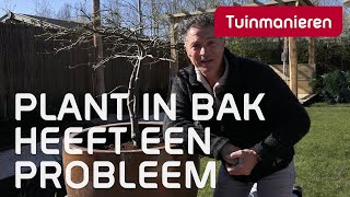 Hoe voed je planten in bakken en potten  Tuinmanieren [upl. by Ettennaej]