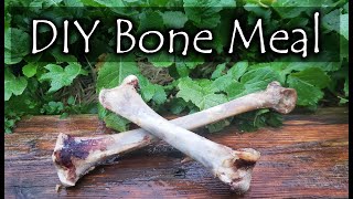 How To Make Bone Meal [upl. by Ailel155]