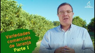 Variedades comerciais de laranja e suas principais características  Parte 1 [upl. by Simonetta]