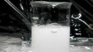 Calcium Reacts with Water [upl. by Lenoj]