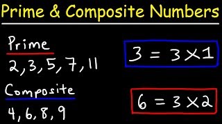 Prime Numbers and Composite Numbers [upl. by Shiff77]