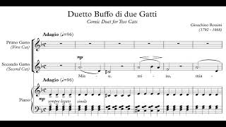 Gioacchino Rossini  Duetto buffo di due gatti [upl. by Onitnas634]