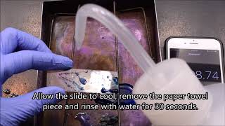 Spore Stain Procedure SchaefferFulton Method [upl. by Forrer625]