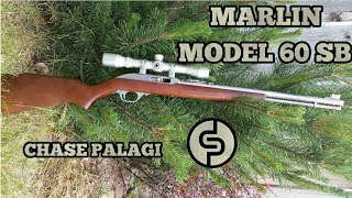 Marlin model 60 SB 22 Rifle Review [upl. by Yekram]