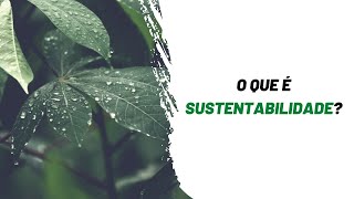 O QUE é SUSTENTABILIDADE [upl. by Ogram]