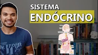 Introdução ao Sistema Endócrino Endócrino 01 [upl. by Astera]