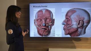 Músculos da Expressão Facial anatomia e análise funcional aplicada à Harmonização Orofacial [upl. by Lettie]