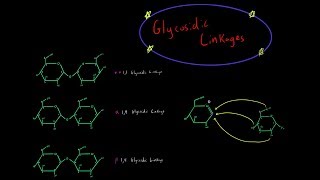 How Glycosidic Linkages are Formed Organic Chemistry Mechanism Carbohydrate Biochemistry MCAT [upl. by Bluh]