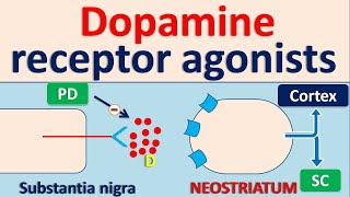 Dopamine receptor agonists for Parkinson Disease PD [upl. by Colby]