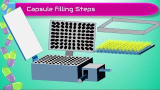 processing of hard gelatin capsules [upl. by Anyt960]