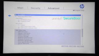 BIOS Setup for HP ZBook [upl. by Niveek965]