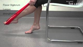 BFAAC Flexor Digitorum Longus Strengthening [upl. by Ladnar]