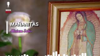 Las Mañanitas a La Virgen de Guadalupe disco completo cantos serenata guadalupana MiriamSolis [upl. by Corena790]